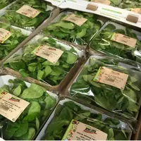 Ces barquettes sont commercialisées  auprès des primeurs et des grossistes en carton de six. © Marais