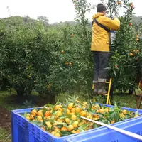 Face aux sécheresses répétées, au manque d’eau, aux événements climatiques, la production française devra s’adapter. Nouvelles variétés adaptées, relo