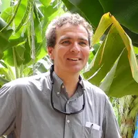 Denis Loeillet, expert banane et responsable de l’Observatoire des marchés et des innovations au Cirad.