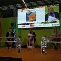 Selon les prévisions de récolte dévoilées à Medfel, la production nationale d'abricot devrait se situer autour de 125 000 tonnes.