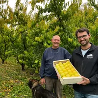 Avec Christian et Patrick, exit le maraîchage. Aux Fruits du Campredon, il n'y a plus que de l'arboriculture.