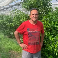 Guy Memoli, maraîcher à Châteauneuf-les-Martigues, Bouches-du-Rhône