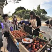 Touristes sur un marché du terroir à Port-Vendres . Vente de fruits et légumes en direct du producteur. Clients . Achat de produits agricoles. sur un