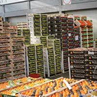 Etal d'agrumes sur le marché de rungis