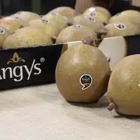 poire angys
