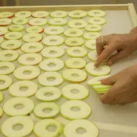 tranches de pommes préparées à être séchées
