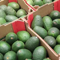 avocat Rungis