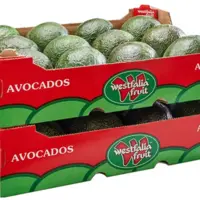 plateaux d'avocats à la marque Westfalia Fruit