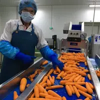 légumerie