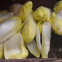 Endives vendues en vrac en magasin présentant des aspects de détérioration.