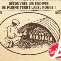 Un des trois groupes de travail en vue du renouvellement du Programme national de gestion des risques (PNGRAT) porte spécifiquement sur l’arboricultur