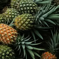 ananas vrac