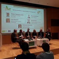 Objectif : réaliser un classement des variétés résistantes au Bremia en culture de salades. © Sica Centrex