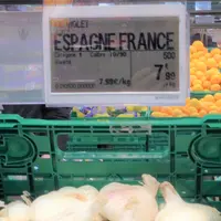 Mâles © La Morinière