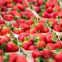 fraises en barquettes bois