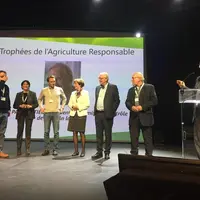 En Occitanie, le thym est principalement cultivé dans l’Hérault. © RFL