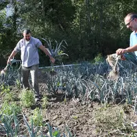 AGRECOMel doit démontrer l’efficience technique des systèmes innovants utilisant des leviers agroécologiques. © RFL