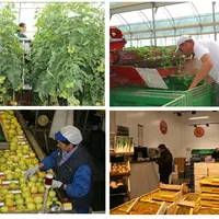 Main d'oeuvre fruits et légumes au travail dans différents métiers.