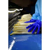 Asperge en station Maïsadour