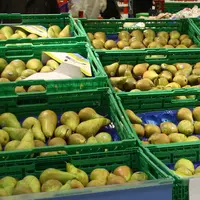 rayon poire