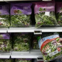 Salades en sachet dans un rayon de supermarché. Photo d'archives Réussir