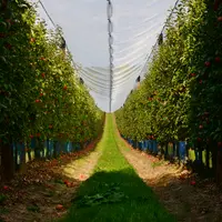 Vergers de pommes