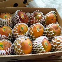 mangue Yassa et Frères Mali