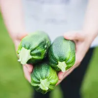 courgette gros plan