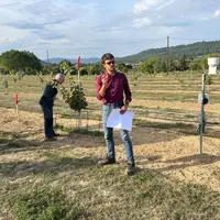 Comme l’explique Francisco Bustamante, chargé d’affaires arboriculture à la société du canal de Provence, le pistachier est sensible à l’asphyxie et s