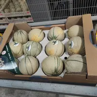 Le calibre 12 (12 melons sur un plateau 60 X 40) est devenu la norme.