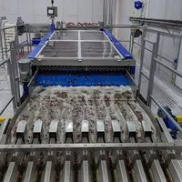 Les cerises de Sicoly sont refroidies systématiquement par hydrocooling dès la réception, qui permet, par douchage des fruits à l’eau froide et purifi