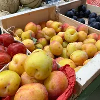 Cette année, avec les volumes prévus, l'AOPn espère que les prunes françaises seront présentes en rayon  « jusqu’au 20-25 octobre ».