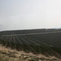 Le verger catalan connait une forte dynamique avec l'implantation de vergers de grande dimension.