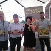 L'équipe du syndicat de défense du Chasselas de Moissac AOP a lancé la campagne 2023, avec une qualité au rendez-vous.