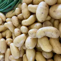 50 % des consommateurs alternent avec des pommes de terre classiques.