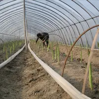 Les doubles tunnels sont utilisés l'hiver et au début du printemps pour gagner en précocité.
