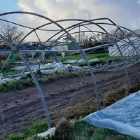 Les cultures maraîchères sous tunnel en Bretagne ont été particulièrement touchées par la tempête Ciaran.