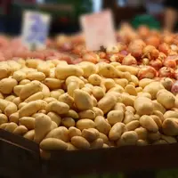 Des promotions en pommes de terre non justifiées en début de campagne pourraient inciter à plus d'achats en début de saison et provoquer un manque de
