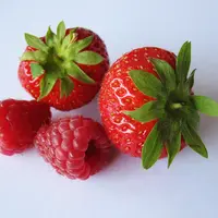 En 2023, les filières fraise et framboise se sont rapprochées pour créer l'AOPn Fraises et Framboises de France.