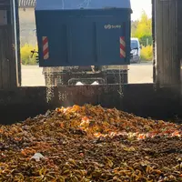 La société Mutatec recycle les sous-produits de l'agriculture, notamment des fruits et légumes écartés ou invendus, grâce aux mouches-soldats noires q