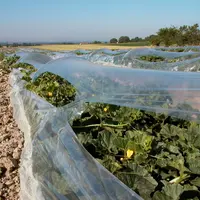 La production française de melon charentais est orientée à la baisse depuis quelques années, surtout dans le Centre-Ouest.