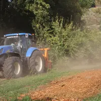 Les solutions alternatives au brûlage des vergers en fin de production peuvent faire de l'arboriculture une activité stockeuse de carbone, comme ici a