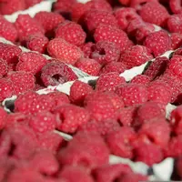 Gros plan de framboises en baquettes carton neutres.