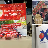 Trois stands vu au Sival 2O24 qui promeuvent leurs solutions face au virus de la tomate brune et rugueuse (ToBRFV)
