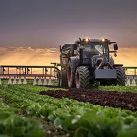 Tracteur, Laitue, Cultiver.