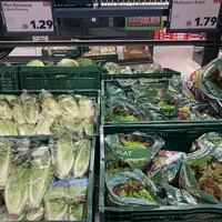 Salades entières dans des emballages plastique dans un supermarché en Allemagne.