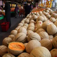 La présence du melon sur les étals français atteint son pic en juillet.
