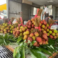 Taïwan est l’un des plus gros producteurs de litchis au monde et cultive « Haak Yip », nom local de la variété gouteuse Black Leaf, qui représente 80
