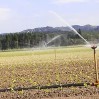 Des économies d'eau sont possibles sur l'irrigation des cultures de plein champ.