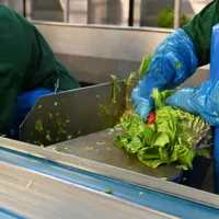 La salade IVe gamme est devenu un produit du quotidien que les Français continuent d'acheter.